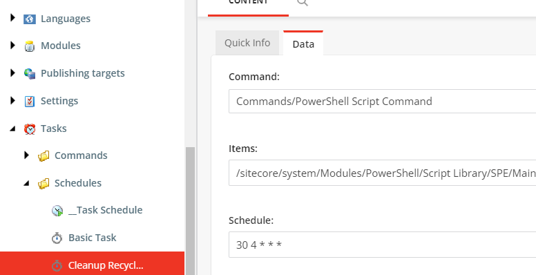 Schedule field uses cron format
